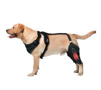 Wag Wize Knee Brace Harness for Dogs, Dog Knee Brace with Adjustable Support, Adjustable Support Non-Slip Joint Bracese for Back Legs, 360° Wrapping, 4 Limb Wear, Improve Mobility (XL)