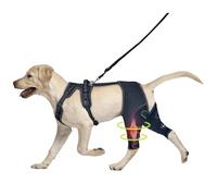 Wag Wize Knee Brace Harness for Dogs, Wagwize Dog Hip Brace, Dog Knee Brace with Adjustable Support, Metal Stabilization System, Pain Relief & Better Recovery Both Leg (XL)