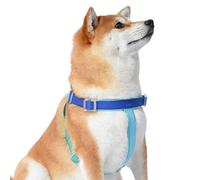 Wags & Wiggles Arnés de PVC Impermeable Tricolor, Mediano, arnés de PVC Impermeable Azul Marino y Amarillo para Perros, diversión de Verano en la Piscina o el Lago con Perros, Elegante y
