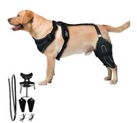 Wagwize Knee Brace Harness for Dogs, Dog Knee Brace with Adjustable Support, Metal Stabilization System, Adjustable Support Non-Slip Joint Braces for Back Leg (M)