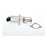 WAHLER 710725D/1 Válvula EGR con junta Compatible con RENAULT Clio 2 Hatchback BB, CB Trafic 2 Autobús JL, VOLVO V40 Familiar 645, OPEL Vivaro A Combi X83 Vivaro A Furgón X83