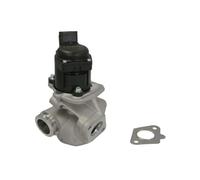 WAHLER 710929D Válvula EGR