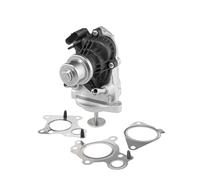 WAHLER 710980D Válvula EGR Compatible con BMW 5 Touring F11 3 Touring F31 1 Hatchback F20 5 Sedán F10 3 Sedán F30, F80 4 Gran Coupe F36