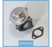 WAHLER 7271D Valvula AGR