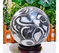 WAHOM Jaspe de Concha Natural, Piedra de mil Ojos, Cristal de Cuarzo, Bola de Cristal curativa (Size : 200-300g)