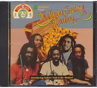 Wailers - Never Ending Wailers