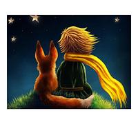 wairboo Pintar por Números Kits,Pintar por Numeros para Adultos Niños El principito mira las estrellas DIY Conjunto Completo de Pinturas para el Hogar Decoraciones-Without_Frame_40x50cm E563