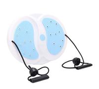 Waist Board, AB Disc, Fitness Gear, Rotating Body Trainer, Magnetic Twist Plate, 18 Magnet Pads, for Core Shaping, Leg Slimming, Arm Trimming, Daily Home Exercise Routine