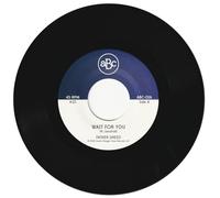 Wait for You [Vinilo]