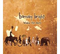 Wake the Hero by Barnaby Bright (2009-01-26)