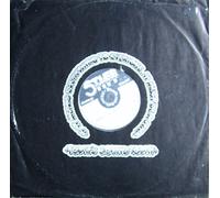 Wake Up And Make Love With Me / Sex & Drugs & Rock & Roll [Vinyl 12"-Maxi-Single] [Schallplatte]