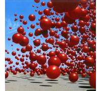 Wake Up & Smell the Coffee