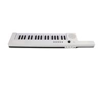 Wakects Teclado de 37 Teclas Piano Portátil Guitarra Electrónica órgano Aprendizaje Instrumento Musical Principiante Instrumento de Enseñanza con Polifonía de 32 Notas Batería de Litio (BF-3755