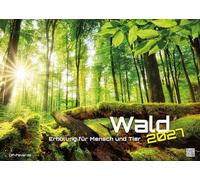 Wald - Erholung für Mensch und Tier - 2027 - Kalender DIN A3: Der Wandkalender mit den schönsten Motiven unserer Wälder für das Jahr 2027 im Format DIN A3 (ca. 42 x 30 cm)!