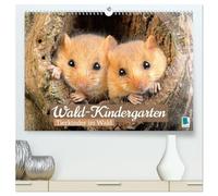 Wald-Kindergarten: Tierkinder im Wald (hochwertiger Premium Wandkalender 2026 DIN A2 quer), Kunstdruck in Hochglanz: Tierbaybys begeistern viele Naturfreunde im Wald