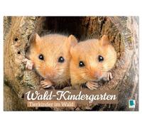 Wald-Kindergarten: Tierkinder im Wald (Tischkalender 2026 DIN A5 quer), CALVENDO Monatskalender: Tierbaybys begeistern viele Naturfreunde im Wald