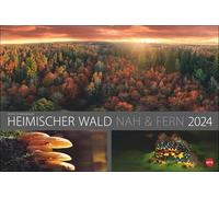 Wald nah und fern Edición Calendario 2024