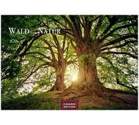 Wald & Natur Kalender 2026 Großformat 35x50cm - Natürliche Schönheit & Ruhe für jeden Monat .