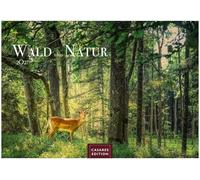 Wald & Natur Kalender 2027 - Wandkalender | Fotokalender Naturkalender 24x 35cm - Natürliche Schönheit & Ruhe für jeden Monat .