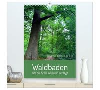 Waldbaden - Wo die Stille Wurzeln schlägt (hochwertiger Premium Wandkalender 2026 DIN A2 hoch), Kunstdruck in Hochglanz: Waldmomente für die Seele