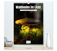 Waldboden im Licht (hochwertiger Premium Wandkalender 2026 DIN A2 hoch), Kunstdruck in Hochglanz: Waldpilze und die Früchte des Waldes in besonderer Lichtstimmung