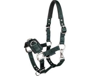 Waldhausen Cabezada para Cuerda Economic, Verde Pino - Cob Waldhausen