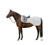 Waldhausen Manta de equitación Economic gris plata Pony