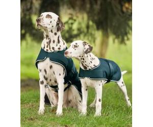 WALDHAUSEN Manta impermeable para perro, color verde abeto, 65 cm