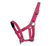 Waldhausen Mini-Shetty Halfter