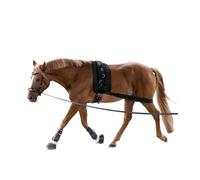 Waldhausen Banda Corporal Cob/Full, Negro - 1 pieza Waldhausen