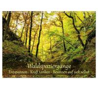 Waldspaziergänge: Entspannen - Kraft tanken - Besinnen auf sich selbst (Wandkale
