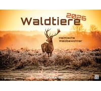 Waldtiere - Heimische Waldbewohner - Der Tierkalender - 2026 - Kalender DIN A2: Der Wandkalender mit den schönsten Waldtier-Motiven für das Jahr 2026 im extragroßen Format DIN A2 (ca. 60 x 42 cm)!