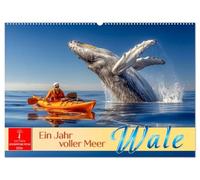 Wale - ein Jahr voller Meer (Wandkalender 2026 DIN A2 quer), CALVENDO Monatskalender: Faszinierende Giganten der Ozeane.