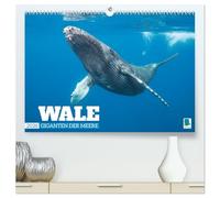 Wale: Giganten der Meere (hochwertiger Premium Wandkalender 2026 DIN A2 quer), Kunstdruck in Hochglanz: Pottwahl, Schwertwal, Buckelwal: In den Tiefen der Ozeane
