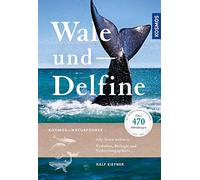 Wale und Delfine: Alle Arten weltweit - Verhalten, Biologie und Verbreitungsgebiete