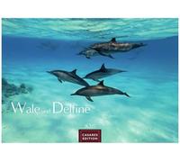 Wale und Delfine Kalender 2027 - Wandkalender | Fotokalender Tierkalender 24x35cm - Hochwertige Fotografien von Walen und Delfinen, die jeden Monat begeistern.