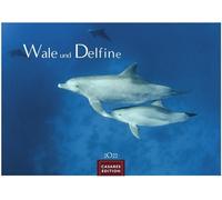Wale und Delfine Kalender 2027 - Wandkalender | Fotokalender Tierkalender 35x50cm Grosses Format - Hochwertige Fotografien von Walen und Delfinen, die jeden Monat begeistern.