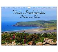 Wales Pembrokeshire - Natur im Fokus- (Wandkalender 2026 DIN A4 quer), CALVENDO Monatskalender: Bilder von Pembrokeshire die Sie verzaubern werden