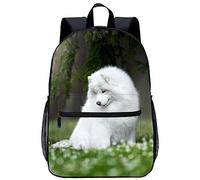 WalfiaA Mochila escolar para niños, lindas mochilas de perro samoyedo para la escuela, mochila informal para niño y niña, mochila escolar para adolescentes, 45x30x15cm, mochilas geniales en 3D