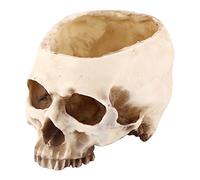 Walfront Cabeza de cráneo de resina artificial, ornamento de Halloween, cuenco de caramelo, maceta de jardín, maceta de jardín, decoración de mesa de bar
