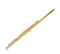 Walfront Flauta en Do de 16 Teclas, Instrumento de Flauta de Cuproníquel, en Do con Llave de Mi Dividida, Llaves de Sol Desplazadas, Almohadillas de Cuero para Principiantes,