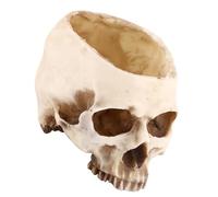 Walfront Maceta Calavera Decoración Halloween Resina 16,48 Cm for Fiesta de