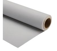 Walimex pro Cartón de Fondo 2,60 x 10 m Gris Claro, Fondo fotográfico Robusto 160 g/m², telón de Fondo para Estudio fotográfico, antirreflectante, Resistente, Ideal para fotografía de Producto