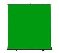 Walimex pro Fondo fotográfico Enrollable Verde 210 x 220 cm, Pantalla Verde con Caja de Transporte, Sistema para Estudio fotográfico, Lienzo sin Arrugas Ideal para Chroma Key