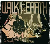 Walk Off the Earth - Somebody That I Used to Know [Import]