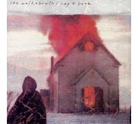 Walkabouts - Rag & Bone Plus Cat