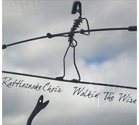 Walkin the Wire [Vinilo]