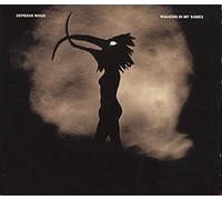 Walking in My Shoes (Remix)