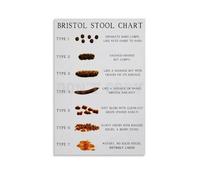 Wall Art Bristol Stool Chart Poster Canvas Painting for Living Room Bedroom Decor(Unframed,12x18inch(30x45cm))