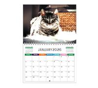Wall Calendar, Cute Gag Wall Art Planner Paper, Decorative Monthly Organizer for Bedroom Kitchen Dorm School College Apartment Classroom Home Family Spaces Kids Teachers Students